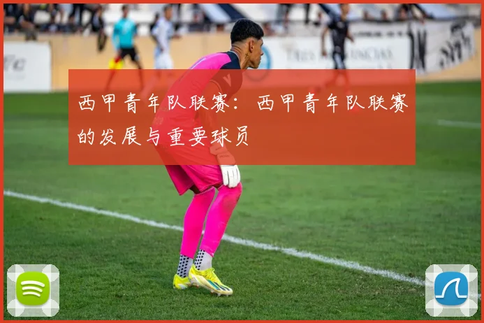 西甲青年队联赛:西甲青年队联赛的发展与重要球员